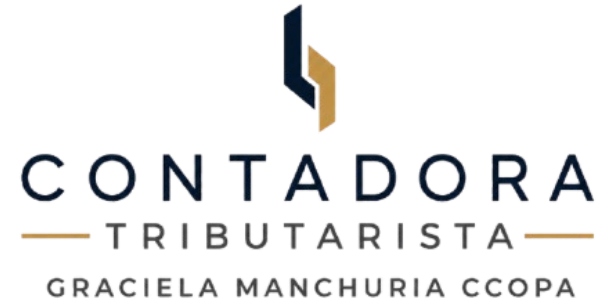 Contadora Tributarista